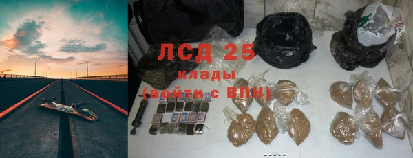 прущие грибы Лагань
