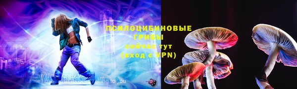 прущие грибы Лагань