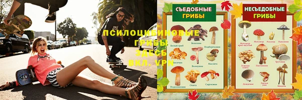 прущие грибы Лагань