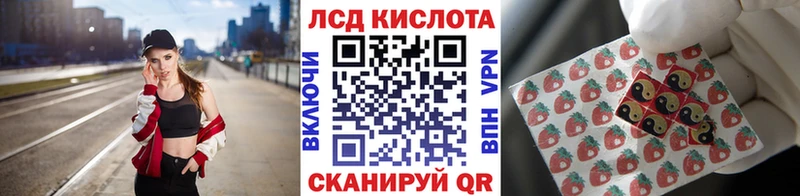 Купить где  Новоаннинский  Наркотические марки 1,5мг 
