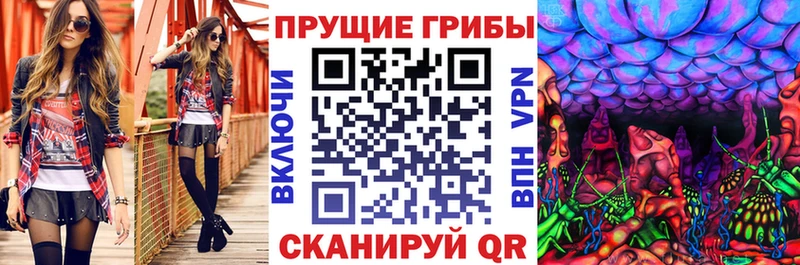 Галлюциногенные грибы Cubensis  Купить где  Новоаннинский 